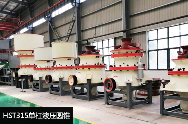 hst315�A�F����C(j��)