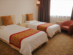 �����͑��д���