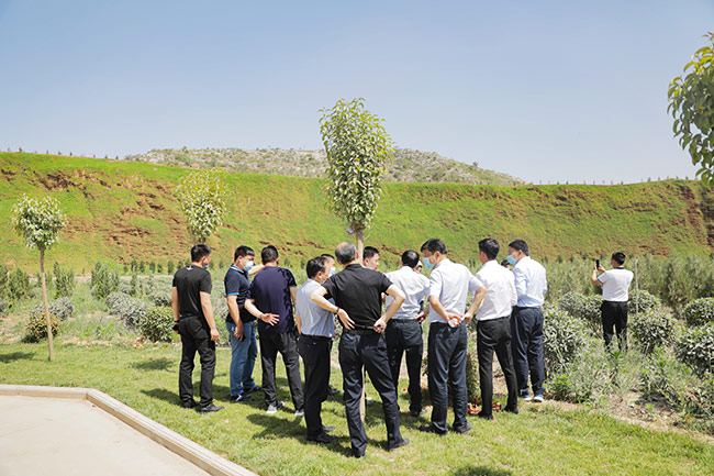 湖北省赤壁市導考察礦山生態修復及環境治理情況